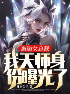 《邂逅女总裁：我天师身份曝光了》小说章节目录在线试读 叶天江婉清小说全文