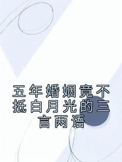 五年婚姻竟不抵白月光的三言两语by苏音 苏音霍启琛免费完整版