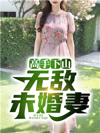 《高手下山：无敌未婚妻》小说章节目录精彩阅读 陈宁沈慕青小说全文