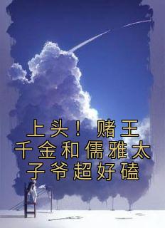 《上头！赌王千金和儒雅太子爷超好磕》小说阅读 盛蓝音谢宴辞小说