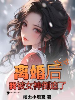 《离婚后，我被女神倒追了》小说大结局在线阅读 叶天策肖倾城小说阅读