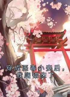 《穿成恶毒小妾后，我爬错床了》免费阅读 沈婉青陆忱小说在线阅读