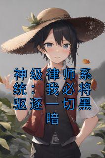 《神级律师系统：我必将驱逐一切黑暗》沈煜罗羊羽章节精彩试读