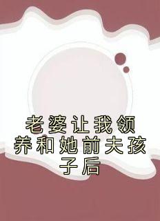 《老婆让我领养和她前夫孩子后》小说全文在线阅读 周正刘兰张昊小说全文