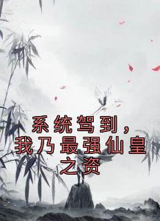 精品《系统驾到，我乃最强仙皇之资》小说免费试读 李源张项小说全集无删减全文