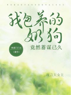 《和裴遇川结婚五年》(裴遇川程芙沈时)小说阅读by纯爱门门主