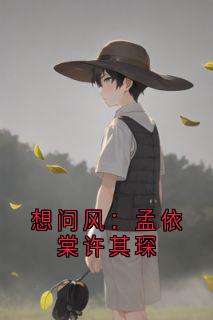 《想问风：孟依棠许其琛》孟依棠许其琛完结版在线试读